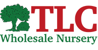 TLC Wholesale Nursery